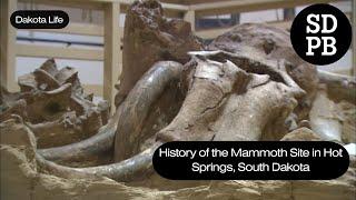 History of the Mammoth Site of Hot Springs, South Dakota | Dakota Life