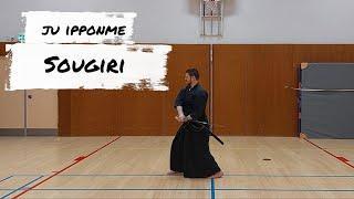 iaido: znkr 11th kata. Sougiri