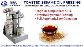 Bangladesh Sesame Oil Project Feedback Video|Sesame Oil Factory|Sesame Oil Plant|Sesame Oil Process