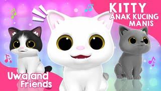 Kitty Anak Kucing Manis - Lagu Anak Indonesia - Lagu Kucing Lucu