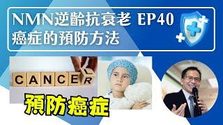 NMN 逆齡抗衰老系列 Ep40：預防癌症 | 逆齡抗衰老⏪ | Dr. SAM