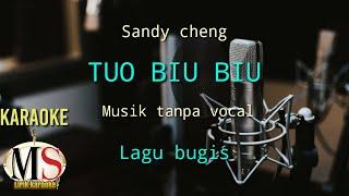 LAGU BUGIS - TUO BIU BIU KARAOKE SANDY CHENG#lagubugis