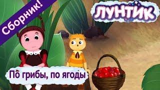 По грибы  по ягоды  Лунтик  Сборник мультфильмов
