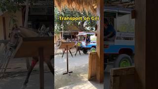 Full Gili VLOG on the channel. #indonesia #gili #giliair #asia #lombok #travel #explore #bali