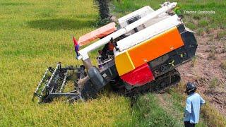 Best Rice Combine Harvester Machine Working Skills - Kubota Harvester Machine In Cambodia