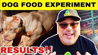 Best Dog Food For American Bully 2025 | Tried 3 Different Dog Foods for 30 Days Here's What Happened