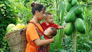 Single mom, Harvest Papayas goes to the market sell, Make pizza and cook for two children