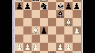 Jan Timman Vs. Viktor Korchnoi, 1991