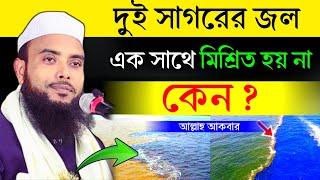 দুই সাগরের জল একসাথে মিশ্রিত হয় না কেন ┇ Mawlana Anamul Haque Waz ┇ Anamul Haque Waz