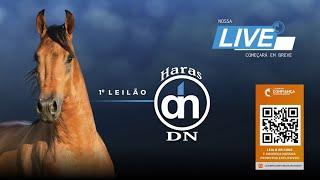 Live de Apresentação dos Animais 1º Leilão Haras DN