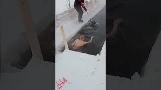 я из Сибири... #моржисургута #сургут #зима #прорубь #здоровье #закаляйся
