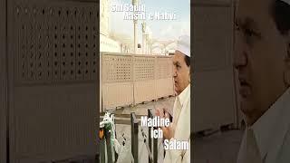 Sm Sadiq In Masjid E Nabvi 2024 -janwan madine -Madine Ich Salam