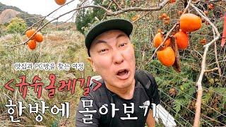 오감을 깨우는 힐링로드, 일본 규슈올레길을 걷다! (풀버전)