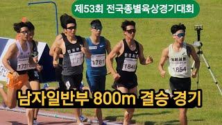 제53회 전국종별육상경기대회 남자일반부 800m 결승 경기! #달리기 #육상 #마라톤 #중장거리 #종별 #800m #결승 #이대웅 #이현서 #김용수 #국가대표 #파리올림픽