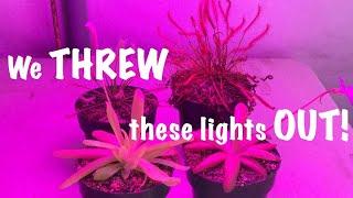 LED Lights for Tropical Carnivorous Plants