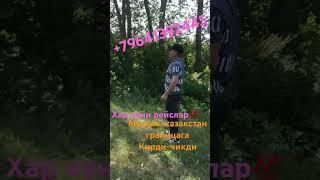 #заезд выезд #граница #казахстан #2023 #кирди чикди #москва #каждый день
