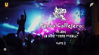 Perro Callejero - 18 Años En Vivo - Foro Puebla ( Parte 2 )