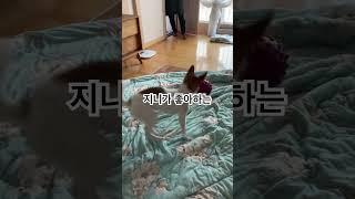 공놀이