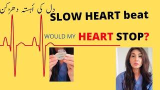 What is Slow heart beat | | Causes of slow heart beat | Bradycardia