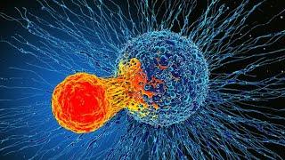 Immunology Lecture 2 - Adaptive Overview