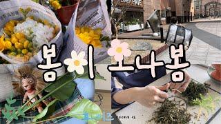 [후니이즈새신랑] 봄맞이 프리지아 꽃 사기, 여름이 가지치기, 대청소, 냉이 손질, 냉이 요리