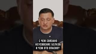 Геронтология и усвоение белков: Как помочь организму?