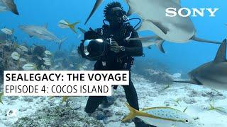 SeaLegacy The Voyage: Episode 4 Cocos Island | Shot on Sony