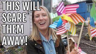 THIS WILL SCARE THEM! / ALLOTMENT GARDENING FOR BEGINNERS