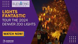 Zoo Lights 2024 - Elevating Denver