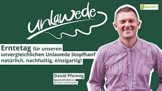 Unlawede Stopfhanf Erntezeit