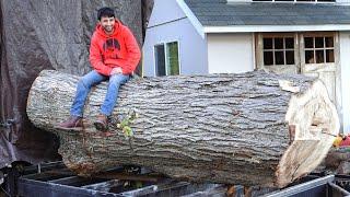 New Log, Encapsulated Slab, Slab Skins