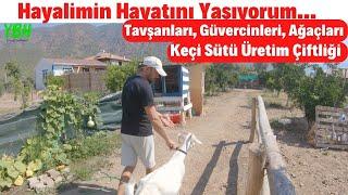 Hayal Hayatımı Yaşıyorum! Müstakil Evi, Keçileri, Güvercinleri | Keçi Çiftliğini Büyütmeyi Planlıyor