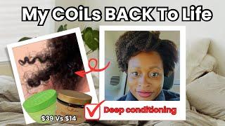 COULD THESE BE THE BEST MOISTURE DEEP CONDITIONERS FOR TYPE 4 HAIR⁉️#type4hair