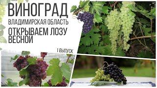 ВИНОГРАД Открываем лозу / Приемы успешного роста и хорошего урожая 1ч