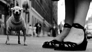 PHOTOGRAPHY USING LOW ANGLES