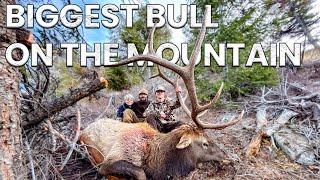 WE FOUND The BIGGEST BULL On THE MOUNTAIN - Gage Shoots A Late Season Giant - 4K HUNT FILM