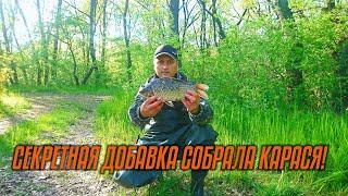 Ловля карася на Боковой Кивок и Поплавок.