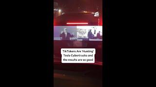 Cybertruck Hunters Expose the Harsh Truth