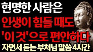 지혜로운 사람이 고통을 다스리는 방법 I 석가모니의 냉혹한 인생 조언 I 노후에 행복한 사람들의 특징 I 자면서 듣는 부처님 말씀 4시간 l 지혜 I 오디오북 I 철학 I 독경