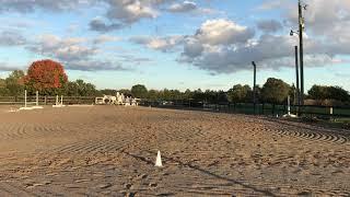 Classic Times, Elizabeth B Stutts, USEF Training Test 1, 10/13/20