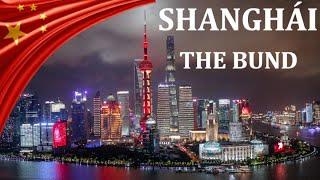 The Future of Humanity: An Inspiring Walk Through Shanghai City