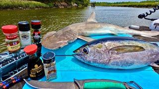 Fresh TUNA + SHARK Catch n' Cook on the Boat!