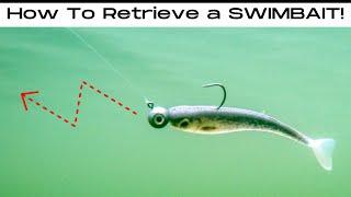 5 SWIMBAIT Retrieves That ALWAYS Get BITES!