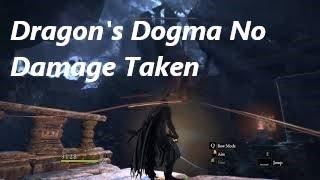 Dragon's Dogma No damage Challenge complete