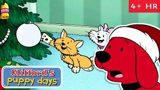 Christmas & Hanukkah with Clifford | Full Episodes | Clifford's Puppy Days | Scholastic Classic