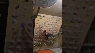 SWALLOW 6B MB BENCHMARK SHORT GIRL BETA