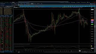 S&P 500 & NASDAQ 100 / Elliott Wave Daily Update 8/26/2024 by Michael Filighera