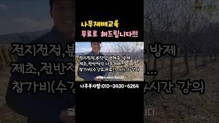 교육,컨설팅 무료!!! #shorts#수사해당화#나무부자팜