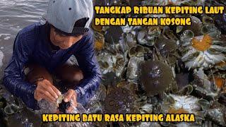 Berburu Dan Menangkap Kepiting Ini Bermodalkan Tangan Kosong Saja,Tak Disangka Hasilnya