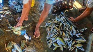 The Freshest Fish Market In Jaffna